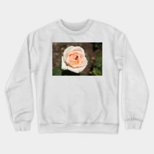 Pink rose Crewneck Sweatshirt